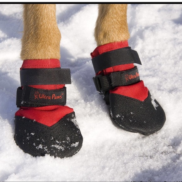 ***SOLD**** - Picture 4 of 8